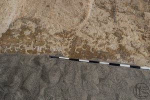 Piedra: 1475, Cara decorada: I