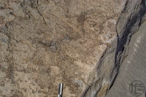 Piedra: 1475, Cara decorada: I