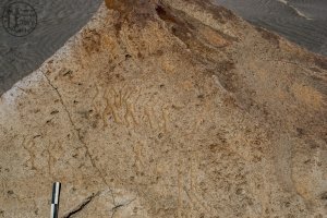 Piedra: 1476, Cara decorada: II