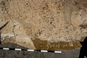 Piedra: 1476, Cara decorada: II