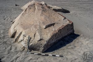 Piedra: 1476, Cara decorada: I