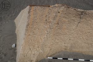Piedra: 1477, Cara decorada: I