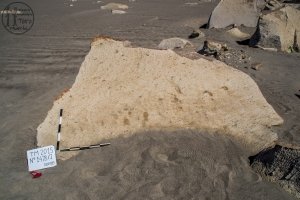 Piedra: 1478, Cara decorada: I