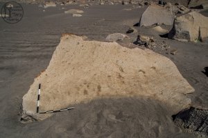 Piedra: 1478, Cara decorada: I