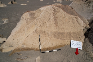 Piedra: 1479, Cara decorada: II