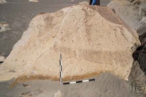 Piedra: 1479, Cara decorada: II
