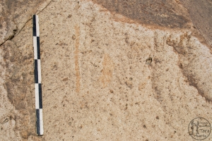 Piedra: 1479, Cara decorada: II