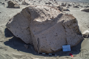 Piedra: 1479, Cara decorada: I