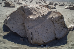 Piedra: 1479, Cara decorada: I