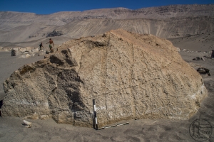 Piedra: 1481, Cara decorada: I