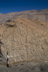 Piedra: 1481, Cara decorada: I
