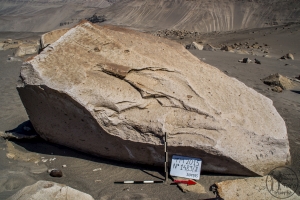 Piedra: 1483, Cara decorada: II