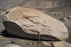 Piedra: 1483, Cara decorada: II