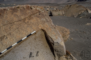 Piedra: 1485, Cara decorada: I