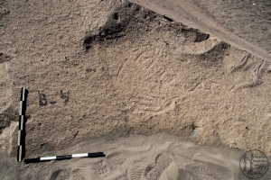 Piedra: 1486, Cara decorada: IV