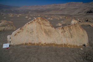 Piedra: 1486, Cara decorada: I