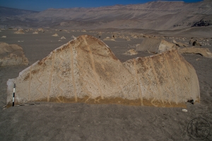Piedra: 1486, Cara decorada: I