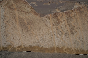 Piedra: 1486, Cara decorada: I