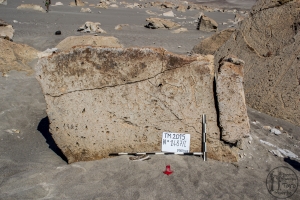Piedra: 1487, Cara decorada: I
