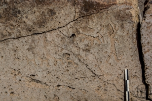 Piedra: 1487, Cara decorada: I