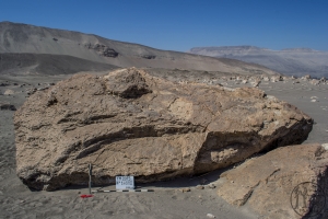 Piedra: 1488, Cara decorada: II