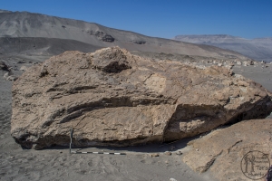 Piedra: 1488, Cara decorada: II