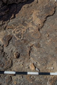 Piedra: 1488, Cara decorada: II