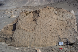 Piedra: 1488, Cara decorada: I