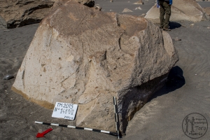 Piedra: 1489, Cara decorada: II