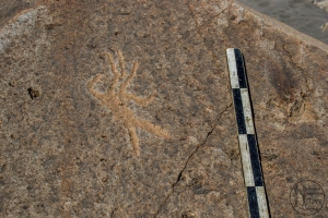Piedra: 1489, Cara decorada: II