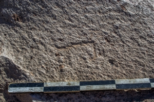 Piedra: 1491, Cara decorada: I