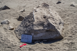 Piedra: 1492, Cara decorada: I