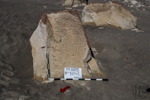 Piedra: 1494, Cara decorada: I