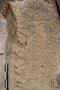 Piedra: 1494, Cara decorada: I