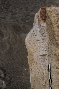 Piedra: 1494, Cara decorada: I