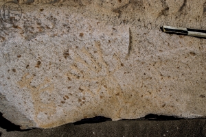 Piedra: 1494, Cara decorada: I