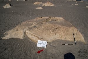 Piedra: 1499, Cara decorada: I