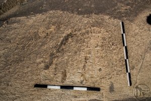 Piedra: 1499, Cara decorada: I