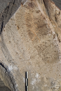 Piedra: 1502, Cara decorada: I