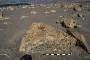 Piedra: 1503, Cara decorada: I