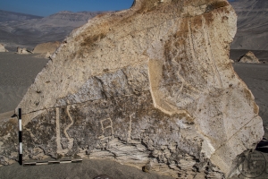 Piedra: 1506, Cara decorada: I