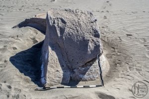 Piedra: 1507, Cara decorada: I