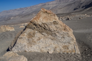 Piedra: 1508, Cara decorada: I