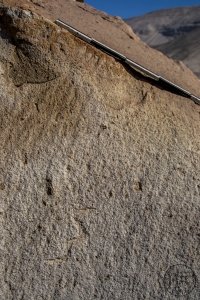 Piedra: 1509, Cara decorada: I