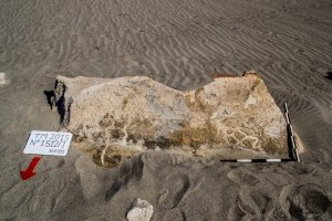 Piedra: 1512, Cara decorada: I