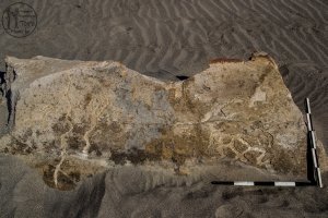 Piedra: 1512, Cara decorada: I