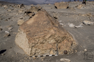 Piedra: 1513, Cara decorada: I