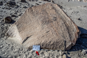 Piedra: 1516, Cara decorada: III