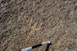 Piedra: 1516, Cara decorada: III