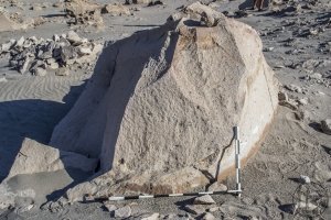 Piedra: 1518, Cara decorada: I